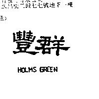 豐群 HOLMS GREEN