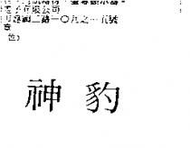 神豹
