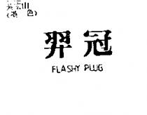 羿冠 FLASHY PLUG
