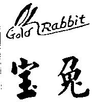 寶兔及圖 Gold Rabbit