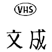 文成 VHS
