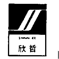 欣哲及圖 SHINN JEE