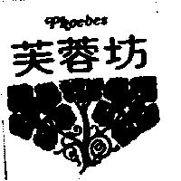 芙蓉坊及圖 PHOEBES