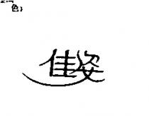 佳姿