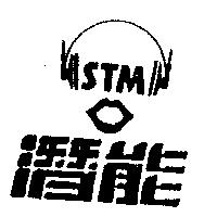 潛能及圖 STM