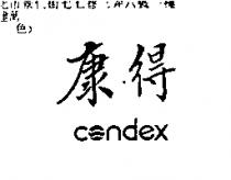 康得 CONDEX