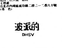 波派得 DHSV