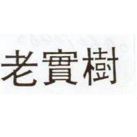 老實樹