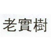 老實樹