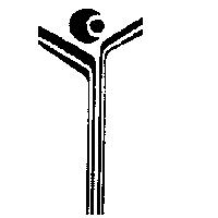 雙線設計圖