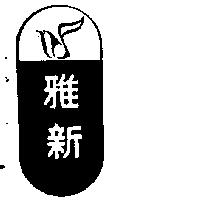 雅新及圖