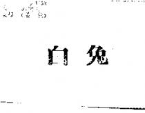 白兔
