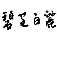 碧芝百麗