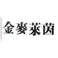 金麥萊茵