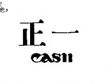 正一 CASN
