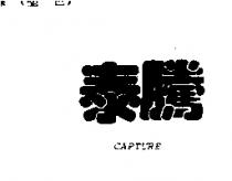 泰騰 CAPTURE