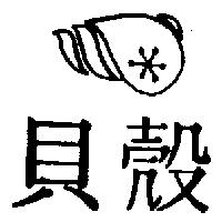 貝殼及圖