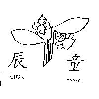 辰童及圖 CHERN TORNG