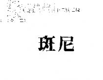 斑尼