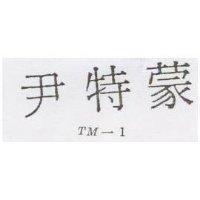 尹特蒙 TM – 1