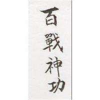 百戰神功
