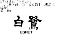 白鷺 EGRET