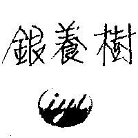 銀養樹及圖 iyt