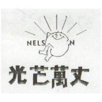 光芒萬丈及圖 NELSN