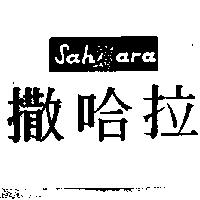 撒哈拉及圖 Sahara