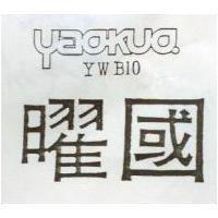 曜國及 YAOKUO YWB 10 之設計圖