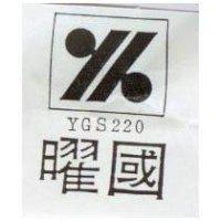 曜國 YK YGS220 之設計圖
