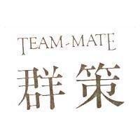 群策 TEAM-MATE