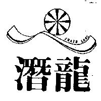 潛龍及圖 CHAIN LONG