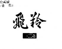 飛羚 MACOVIS