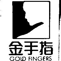 金手指 GOLD FINGERS
