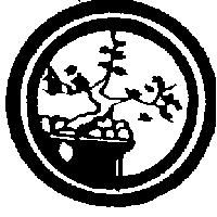 松柏圖
