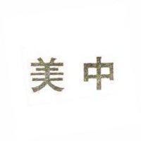 美中