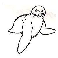 海獅圖