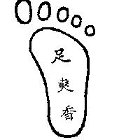 足爽香及圖