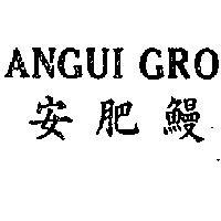 安肥鰻 ANGUI GRO 