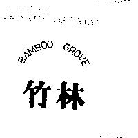竹林 BAMBOO GROVE