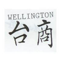 台商 WELLINGTON
