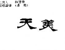 天美