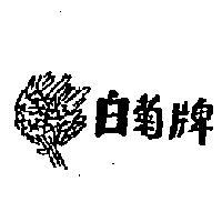 白菊牌