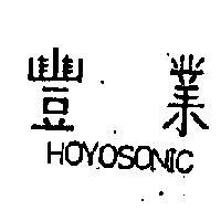 豐業 HOYOSONIC 