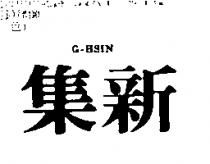 集新 G – HSIN