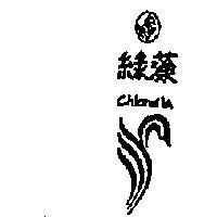 綠藻 CHLORELLA 及圖 