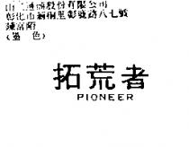 拓荒者 pioneer