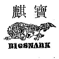 寶麒及圖 BIGSNARK