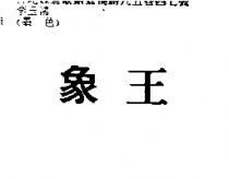 象王
